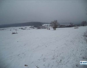 Terrain à vendre dans Gilau