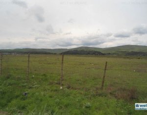 Terrain à vendre dans Cluj-napoca