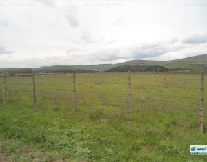 Terrain à vendre dans Cluj-napoca