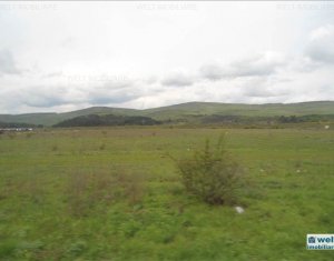 Terrain à vendre dans Cluj-napoca