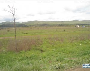 Terrain à vendre dans Cluj-napoca
