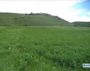 , 6300m2 dans Cluj-napoca