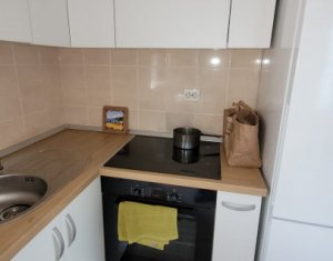 Appartement 2 chambres à louer dans Cluj-napoca, zone Centru