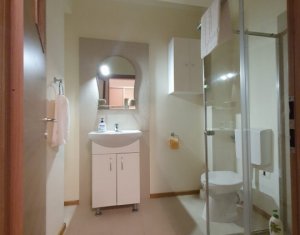 Appartement 2 chambres à louer dans Cluj-napoca, zone Marasti