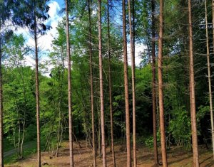 Maison 4 chambres à vendre dans Cluj-napoca, zone Faget