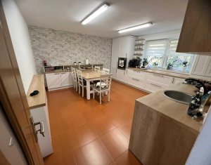 Maison 3 chambres à vendre dans Cluj-napoca, zone Someseni