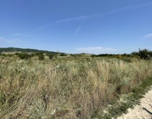 Telek eladó on Cluj-napoca, Zóna Iris