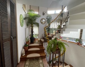 Ház 6 szobák eladó on Cluj-napoca, Zóna Andrei Muresanu