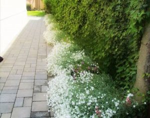 Ház 4 szobák eladó on Cluj-napoca, Zóna Grigorescu