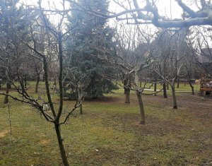 , 1044m2 on Cluj-napoca, Zóna Grigorescu