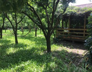 Ház 5 szobák kiadó on Cluj-napoca, Zóna Grigorescu