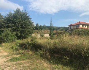 , 2100m2 on Cluj-napoca, Zóna Faget