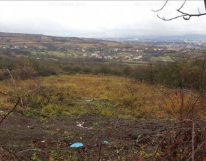 Terrain à vendre dans Cluj-napoca, zone Borhanci