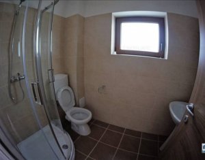 Ház 5 szobák kiadó on Cluj-napoca, Zóna Andrei Muresanu