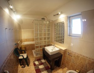 Maison 4 chambres à louer dans Cluj-napoca, zone Andrei Muresanu