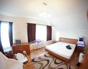 Maison 4 chambres à louer dans Cluj-napoca, zone Andrei Muresanu