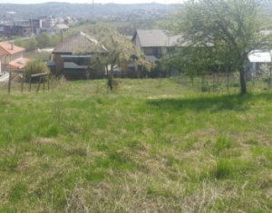 , 700m2 dans Cluj-napoca, zone Borhanci