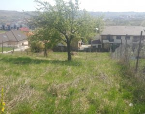 Terrain à vendre dans Cluj-napoca, zone Borhanci