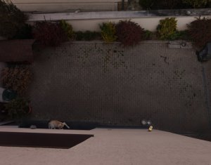 Maison 5 chambres à vendre dans Cluj-napoca, zone Andrei Muresanu