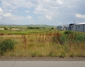 Terrain à vendre dans Jucu