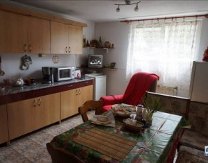 Maison 10 chambres à vendre dans Cluj-napoca, zone Andrei Muresanu
