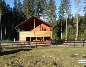 Ház 5 szobák eladó on Belis