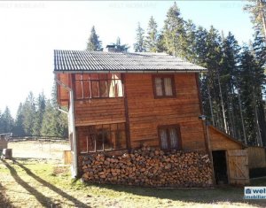 Ház 5 szobák eladó on Belis