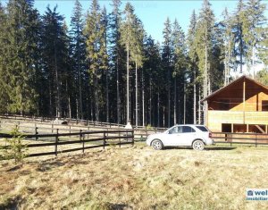 Ház 5 szobák eladó on Belis