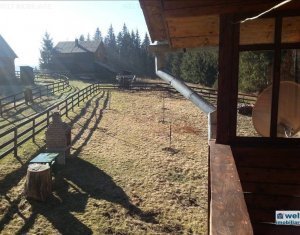 Ház 5 szobák eladó on Belis