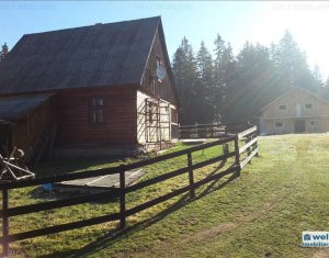 Ház 5 szobák eladó on Belis