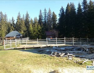 Ház 5 szobák eladó on Belis