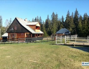 Ház 5 szobák eladó on Belis