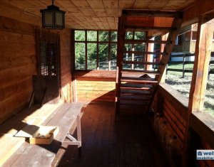 Ház 5 szobák eladó on Belis