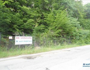 Terrain à vendre dans Cluj-napoca, zone Faget