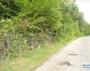 Terrain à vendre dans Cluj-napoca, zone Faget