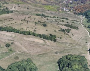 Land for sale in Floresti