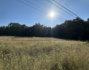 Land for sale in Cluj-napoca, zone Faget