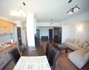 Appartement 2 chambres à louer dans Cluj-napoca, zone Plopilor