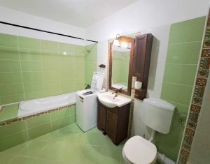 Appartement 2 chambres à louer dans Floresti