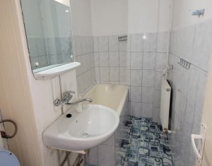 Appartement 1 chambres à louer dans Cluj-napoca, zone Marasti