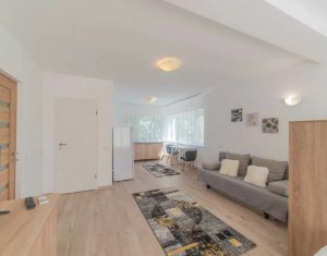 Studio à louer dans Cluj-napoca, zone Zorilor