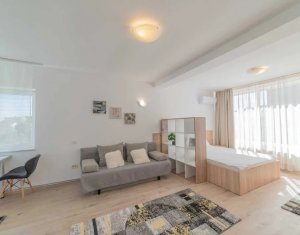 Studio à louer dans Cluj-napoca, zone Zorilor