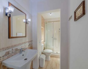 Studio à louer dans Cluj-napoca, zone Zorilor