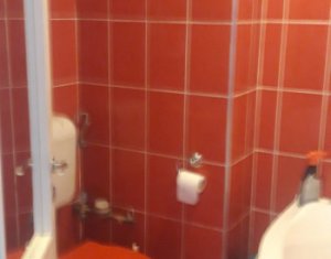 Appartement 2 chambres à louer dans Cluj-napoca