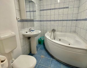 Appartement 1 chambres à louer dans Floresti