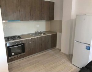 Lakás 1 szobák kiadó on Cluj-napoca, Zóna Andrei Muresanu