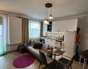 Appartement 2 chambres à vendre dans Cluj-napoca, zone Intre Lacuri