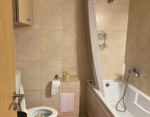 Appartement 1 chambres à louer dans Cluj-napoca