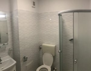 Appartement 1 chambres à louer dans Cluj-napoca