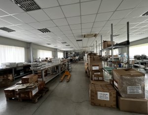 Espace Industriel à vendre dans Baciu